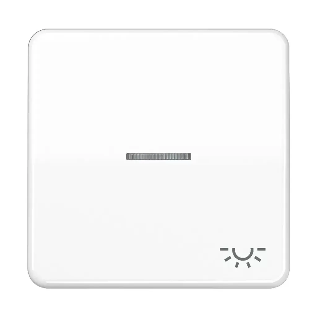 Jung CD 590 KO5L WW Bascule avec Symbole Lumière Blanc Alpin Design Chic