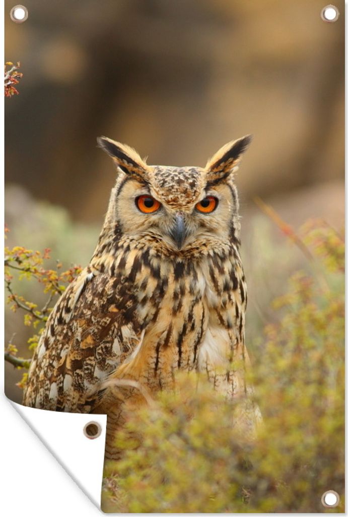 MuchoWow 80x120 cm Outdoor-Poster Gartendeko Sichtschutz Garten Poster für den Garten Ein bengalischer Uhu inmitten der hohen Pflanzen