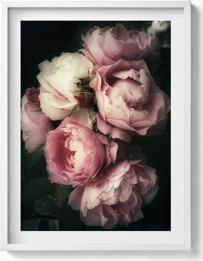 Blumenstrauß aus rosa Vintage-Rosen– Wandbild mit Rahmen – Gerahmtes Bild – Wanddekoration – 60x80 cm – Weiß Rahmen