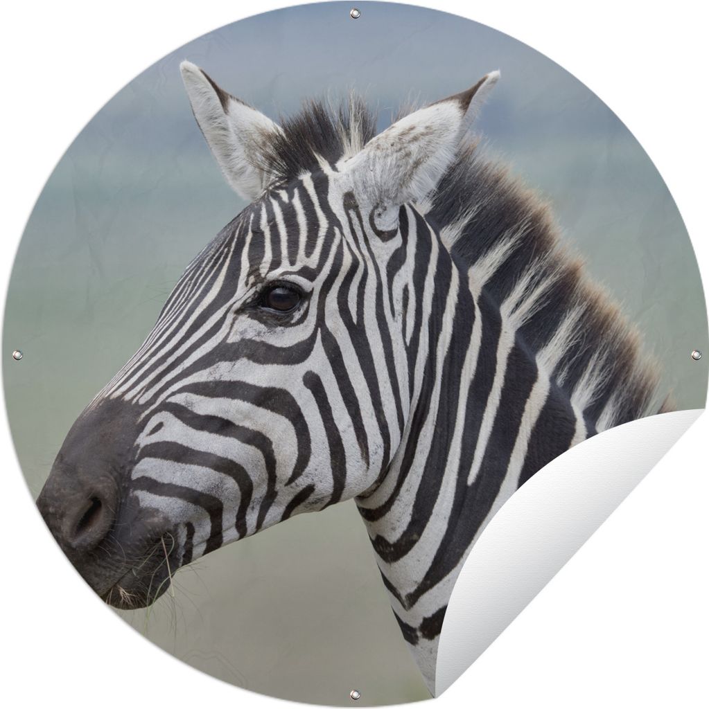 MuchoWow Gartenposter Outdoor-Poster Rund Zebra Nahaufnahme Ø 150 cm Gartendeko Rundes Poster draußen