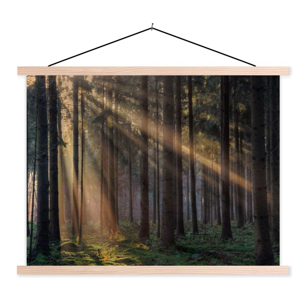 MuchoWow Textilposter Bäume - Wald - Sonne - Pflanzen 40x30 cm mit holzfarbenen Rahmen - Bilder