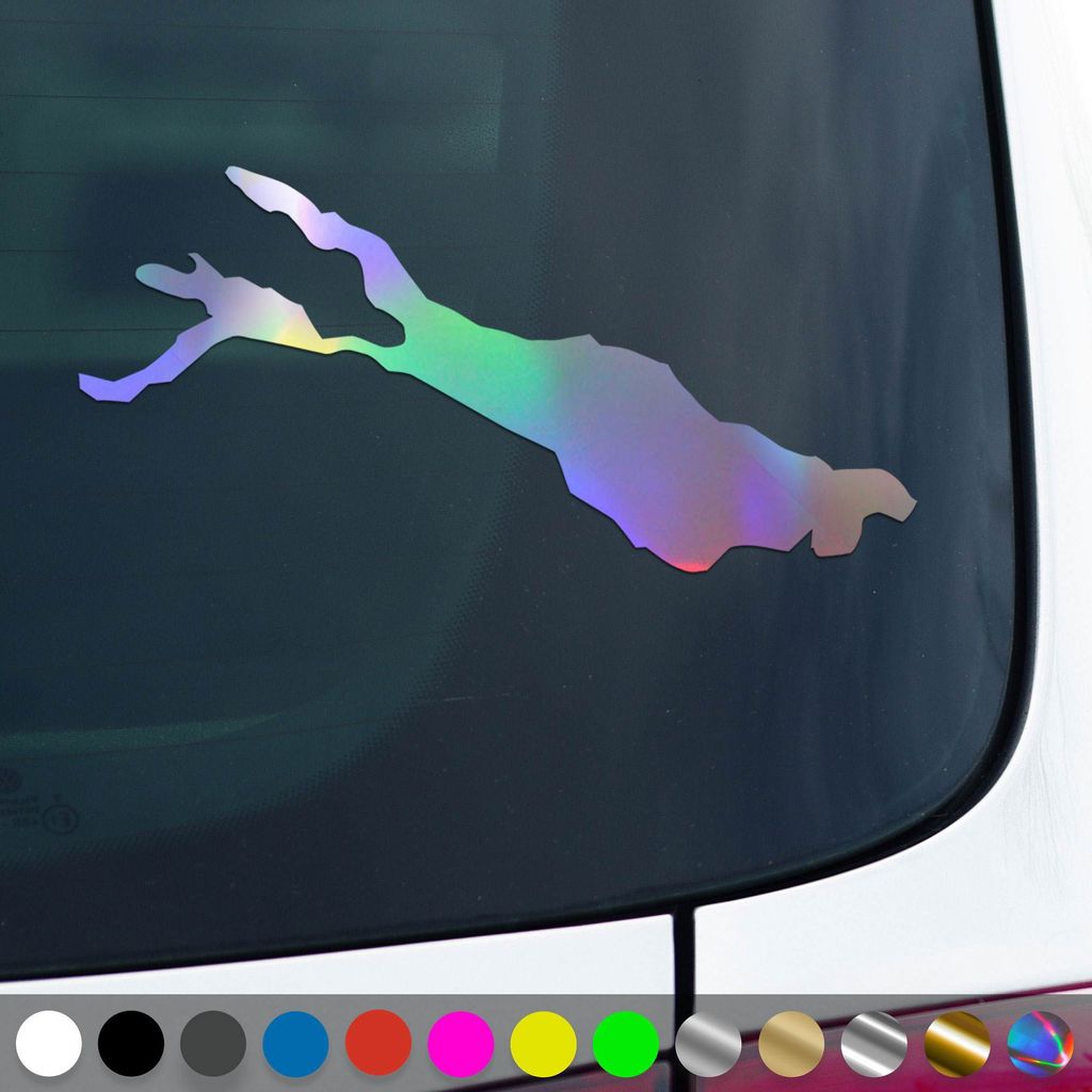 PantherPixel Bodensee Aufkleber Umriss Campen Mainau Lindau Sticker Auto Geschenkidee Farbe Oilslick-Hologramm