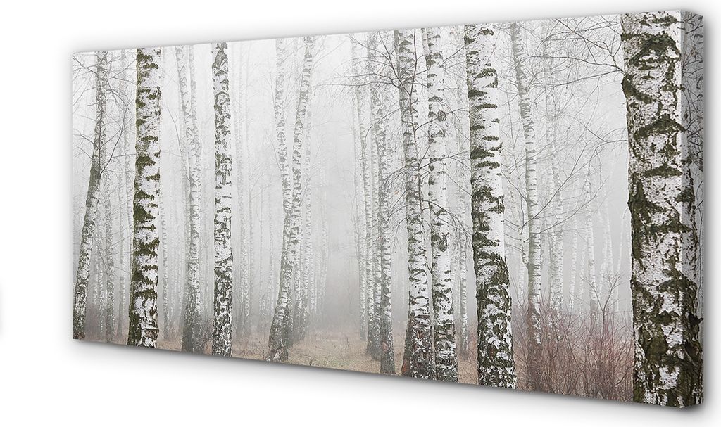 Leinwandbild 120x60 Wandkunst Nebel Birke