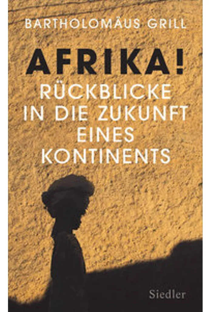 Livre de géopolitique Afrika! Essai prospectif sur l'Afrique