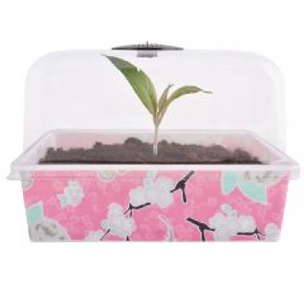 Pflanztopf, Blumenkasten, Balkonkasten, Pflanzenkübel, UV beständig, In-Mould-Print ,Exklusives Design ,27x17x15 cm 1 Stck. in rose Inkl Deckel ,...