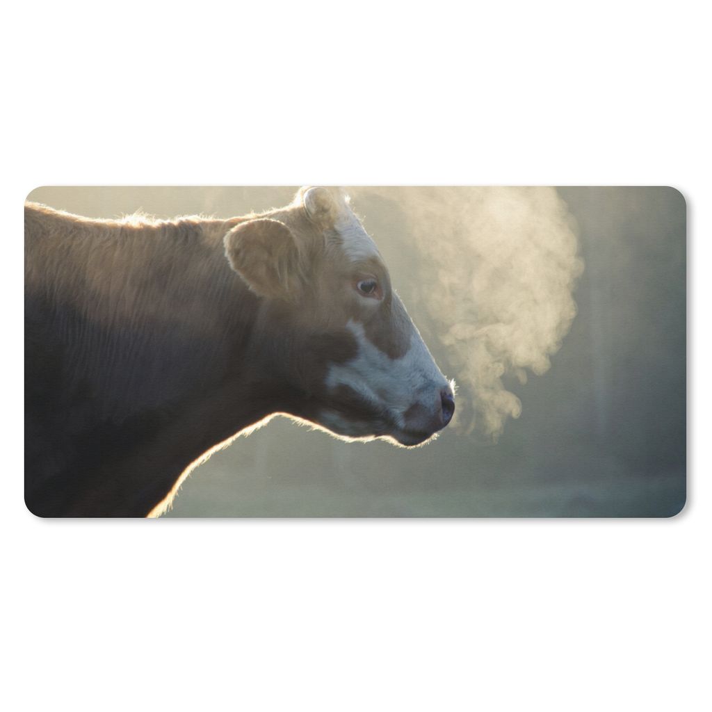 MuchoWow Schreibtischunterlage Kuh - Nebel - Sonne 80x40 cm - XXL Mauspad - Gaming Mauspad