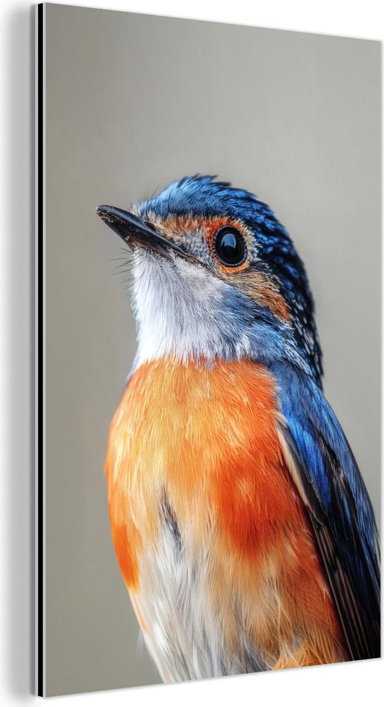 MuchoWow Wanddekoration Metall Metallbild Wandkunst 60x90 cm Bunt - Vogel - Federn - Blau MuchoWow Aluminium Gemälde - Wandbilder - Aluminium