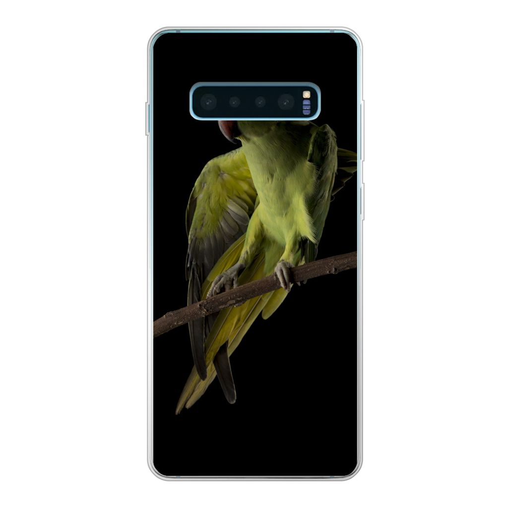 MuchoWow Handyhülle Schutzhülle Hülle für Samsung Galaxy S10 Plus Papagei - Vogel - Zweig Silikon Softcase Handy Hülle