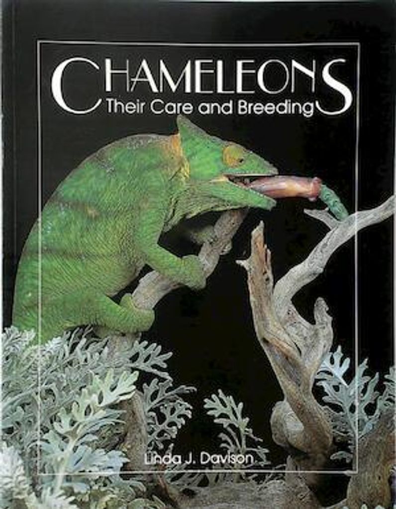 Chameleons
