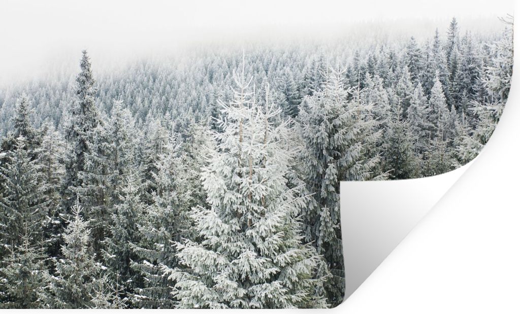 MuchoWow Wandtattoo Wandsticker Wandaufkleber Wald - Schnee - Winter - Jahreszeiten - Tannenbaum 80x60 cm Selbstklebend und Repositionierbar - Fa...