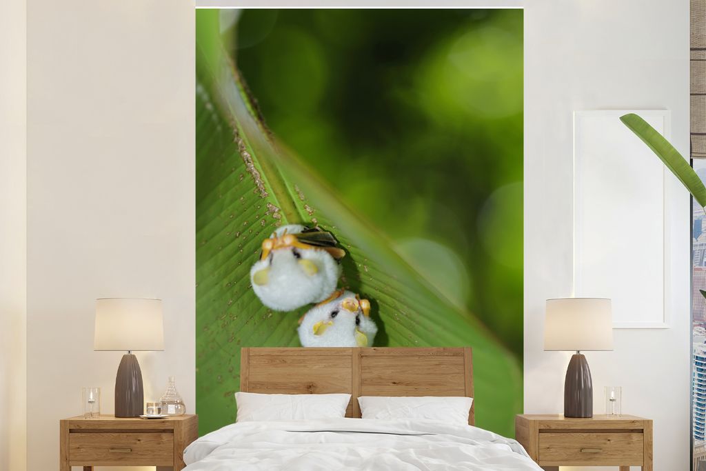 MuchoWow Fototapete für Wohnzimmer oder Schlafzimmer Wandtapete Vinyl Motivtapete Weiße Fledermäuse auf grünem Blatt - 180x280 cm - Wallpaper