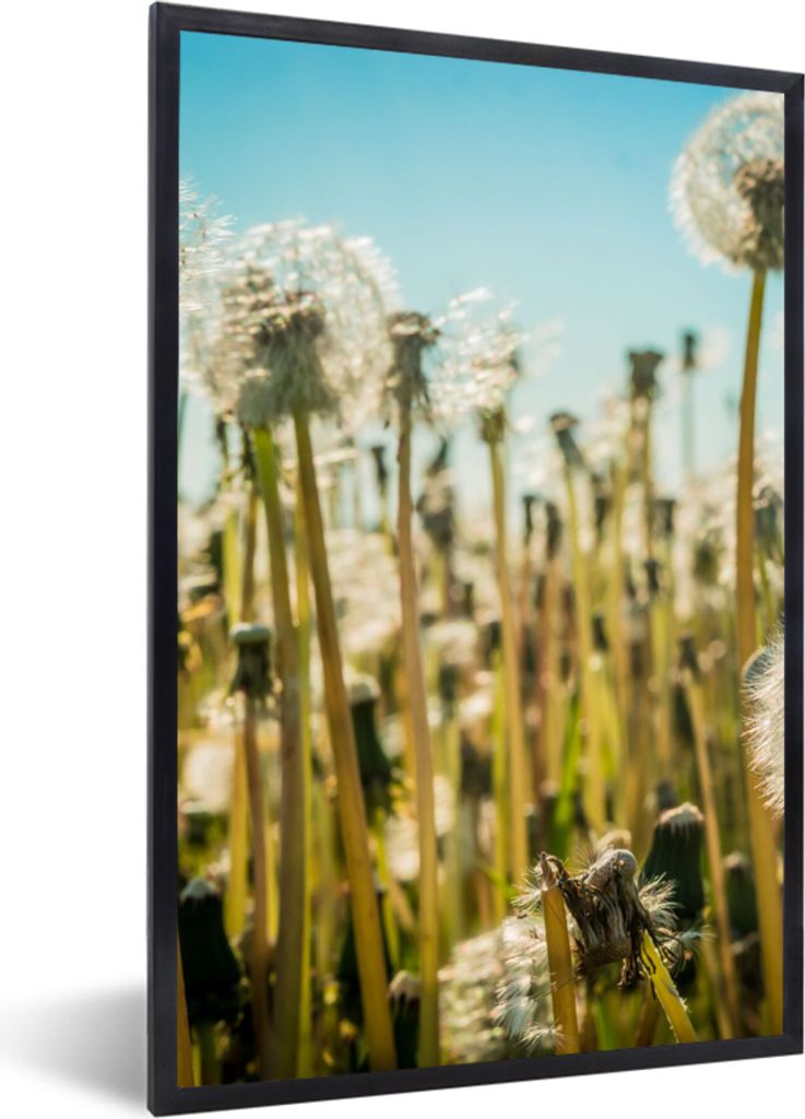 MuchoWow Gerahmtes Poster Blumen - Löwenzahn - Gras 20x30 cm - Poster mit Schwarzem Bilderrahmen Wandposter Rahmen Foto Bilder - Drucken - Bilde...