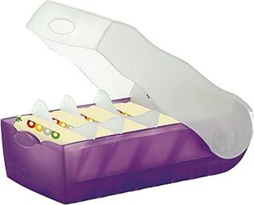 HAN Lernkarteibox CROCO, einfach Vokabeln lernen mit 5-Fächer-Lernsystem, DIN A8 Karteikasten für 500 Karten, inkl. 5 Stützplatten + 100 Lernkar...