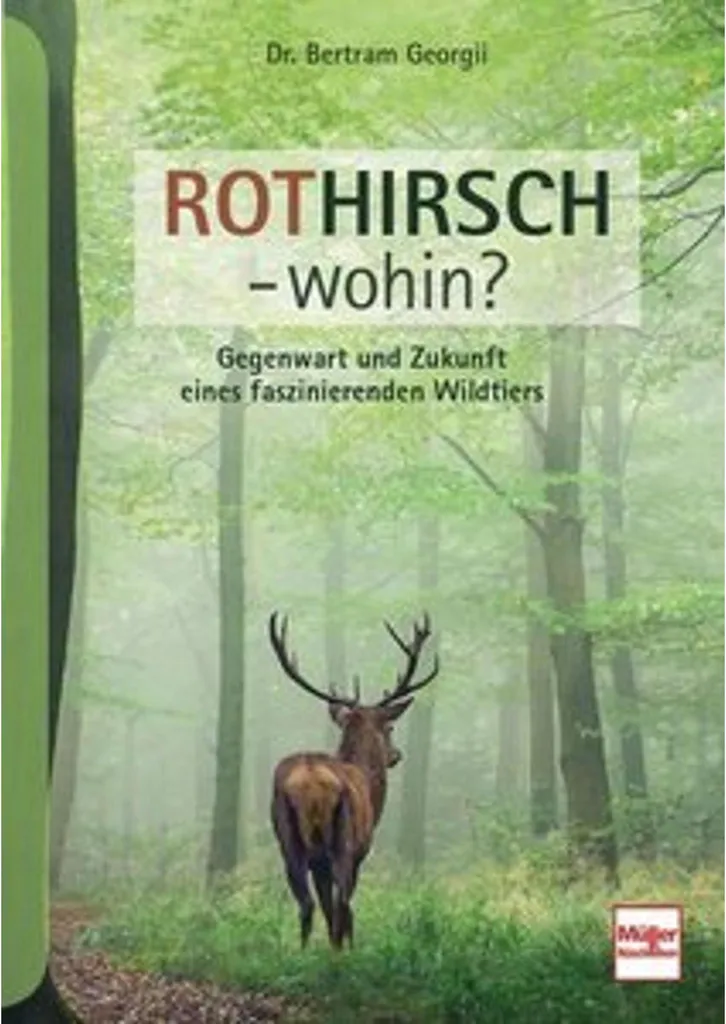 Affiche Cerf Rothirsch - wohin? Comprendre les Habitudes du Grand Gibier