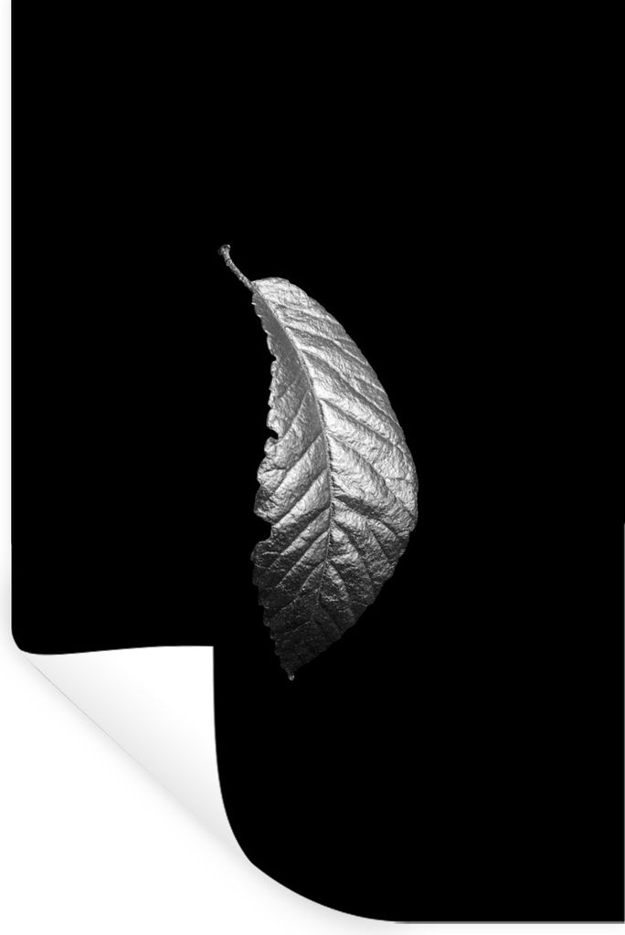 MuchoWow Wandtattoo Wandsticker Wandaufkleber Gebogenes Blatt mit Ausschnitten auf schwarzem Hintergrund - schwarz und weiß 20x30 cm Selbstklebe...