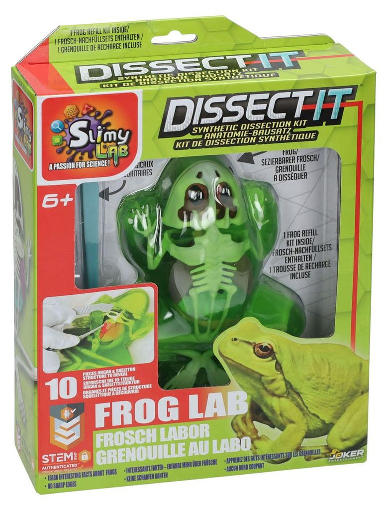 Slimy Lab dissect-it set di dissezione anatomica per Immagine del prodotto 