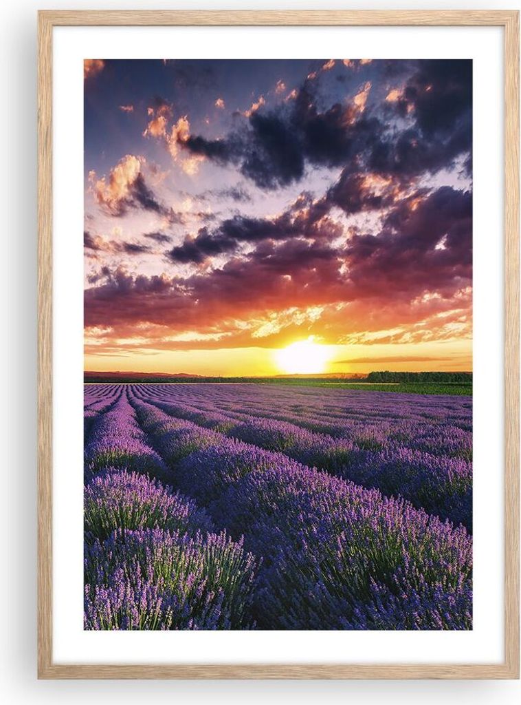 Gerahmtes Poster - Rahmen in heller Eiche - Lavendel Berge Feld - 50x70 cm - Wand Bild - Wanddeko - Wandbilder - Wandposter - Bilderrahmen - Bilder...