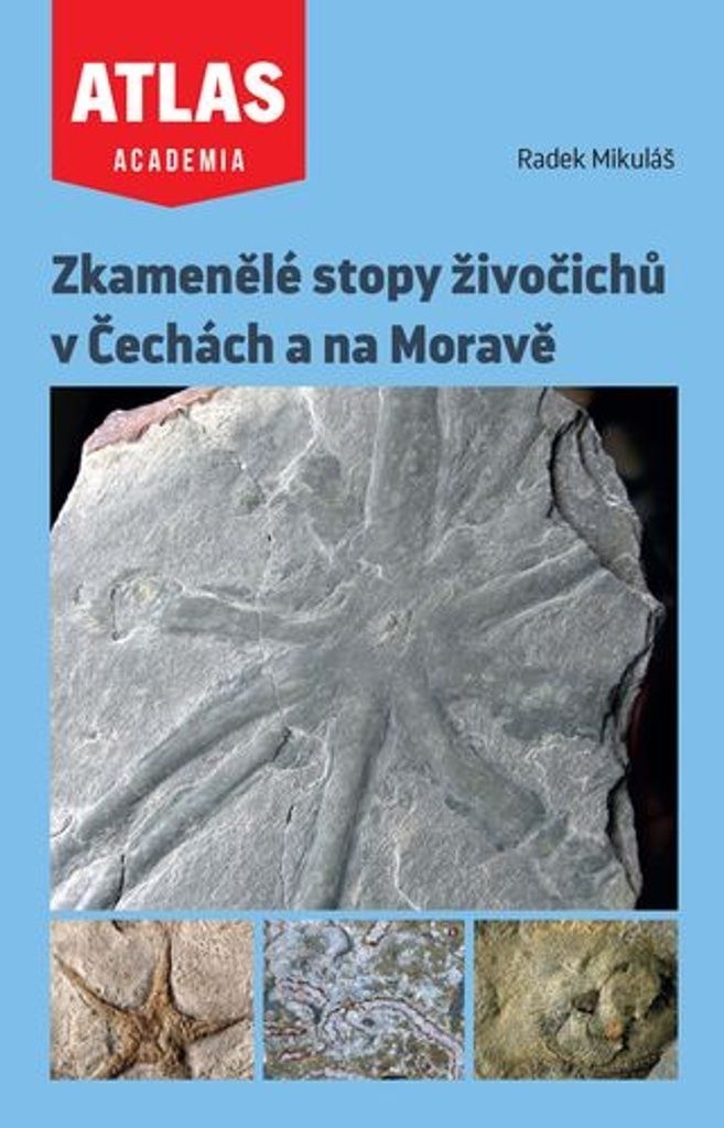 Zkamenělé stopy živočichů v Čechách a na Moravě | Radek Mikuláš