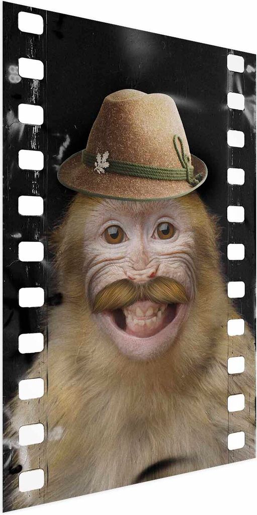 Posterpapier Poster - Monkey in a Hat 29.7x42 cm Für Kinder g-A-0162-ao-a