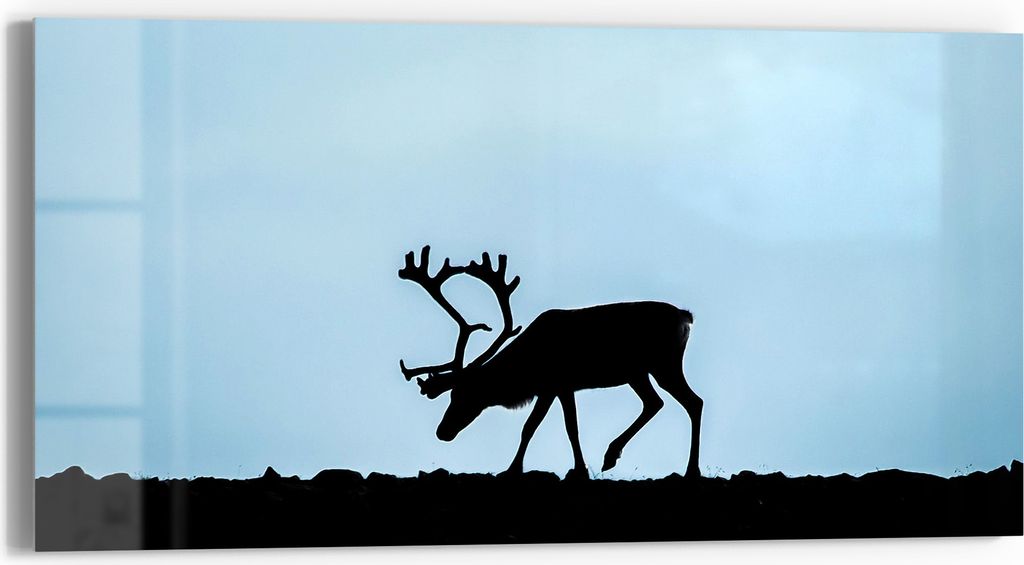 DEQOART Glasbild Echtglas 60x30 cm 'Kontur des Hirsches' Wandbild Bild modern Deko