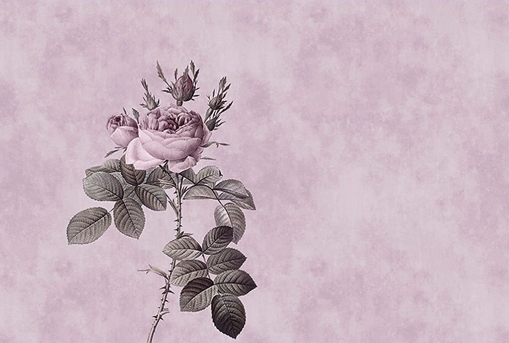 Tadessi Fototapete | Blumen | 4.00 m x 2.70 m | Rosa | Grün | Wandbild | Digitaldruck