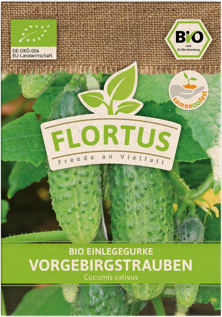 Einlegegurke Vorgebirgstrauben | Gurkensamen von FLORTUS