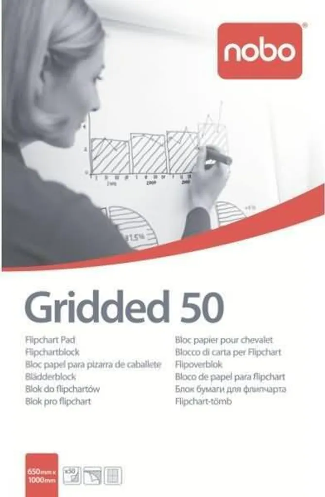 Carta per Flipchart Professionale 65x100 cm 50 Fogli a Quadretti