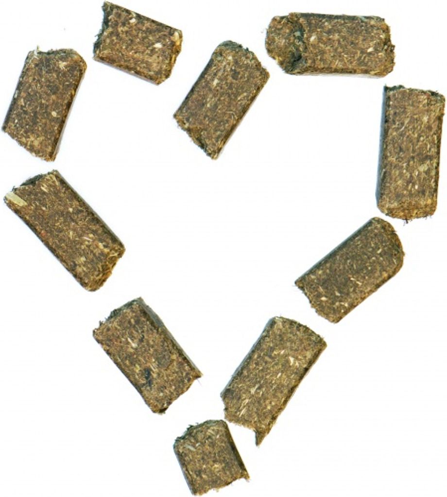 Agrobs WiesenBussi 10 kg