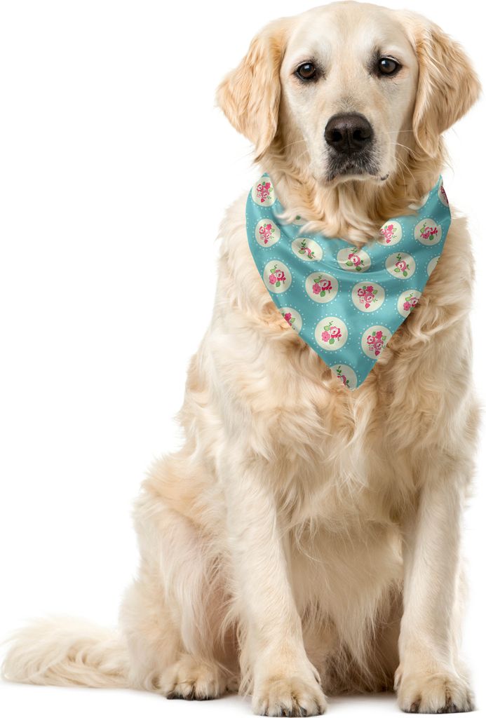 ABAKUHAUS Shabby Flora Haustier Bandana, Kreise und Blumen, 40x40 cm, Apfelgrün Blassblau