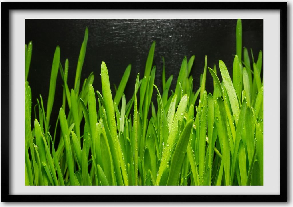Bild - Bilderrahmen - 100 cm x 70 cm - MDF - Rahmen - Foto - Wandkunst Gras