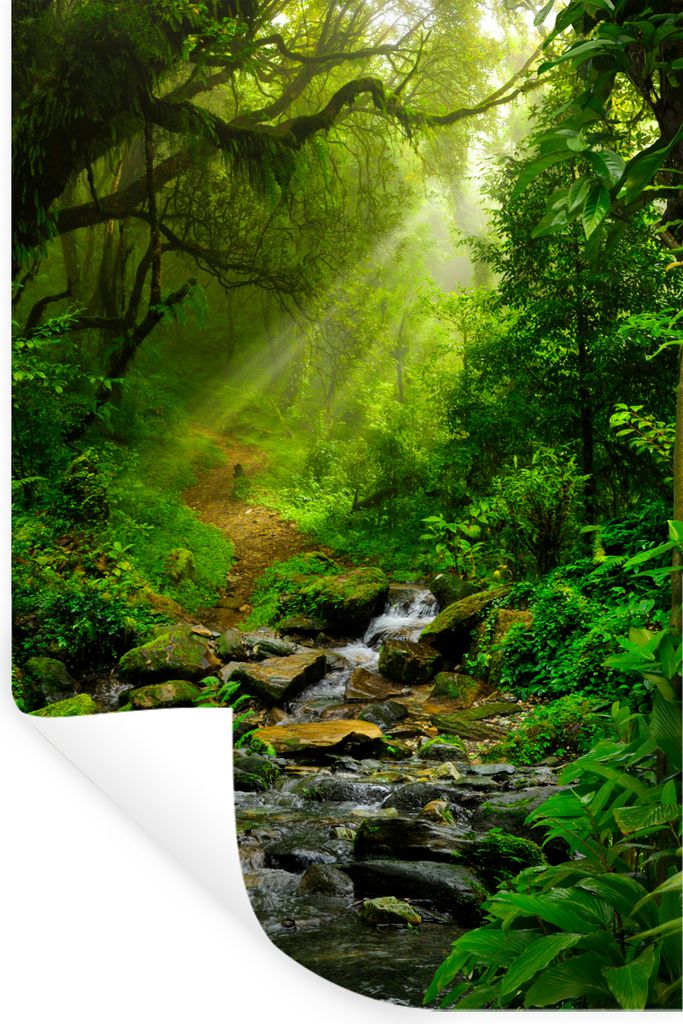 MuchoWow Wandtattoo Wandsticker Wandaufkleber Dschungel - Wasser - Laub - Sonne - Natur 20x30 cm Selbstklebend und Repositionierbar - Sticker - D...