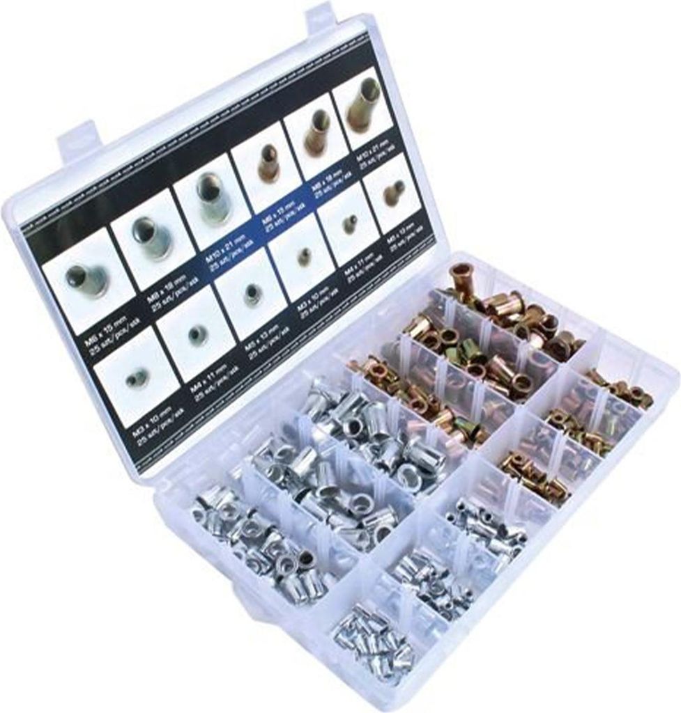 ASTA | Nietmutter Sortiment, M3-M10, 300Stk, M3, M4, M5, M6, M8, M10, Verzinkter Stahl Flachkopf Gewinde Rivet Nutsert Cap Sortiment Kit