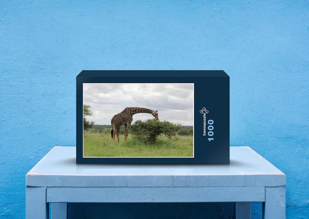 hansepuzzle 78431 - Giraffe Puzzle, 1000 Teile, Natur, 60,0 x 46,0cm mit hochwertiger Aufbewahrung, Kartonbox und wiederverschließbarem Beutel