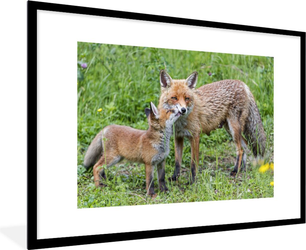 MuchoWow MuchoWow Gerahmtes Poster Füchse - Kind - Gras 90x60 cm - Poster mit zchwarzem Bilderrahmen - Wanddekoration - Fotos