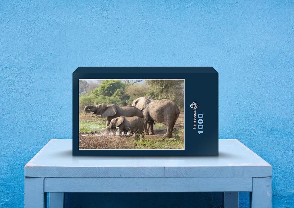 hansepuzzle 76618 - Elefanten-Familie Puzzle, 1000 Teile, Tierwelt, 60,0 x 46,0cm mit hochwertiger Aufbewahrung, Kartonbox & Beutel