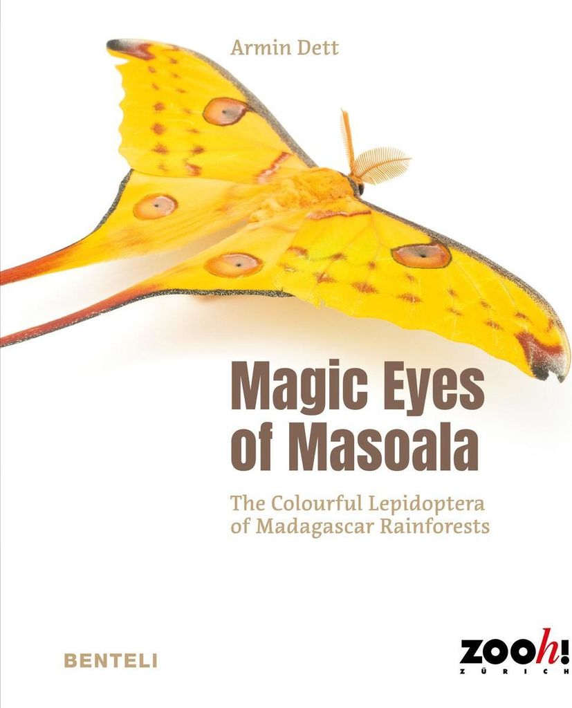 Magic Eyes of Masoala