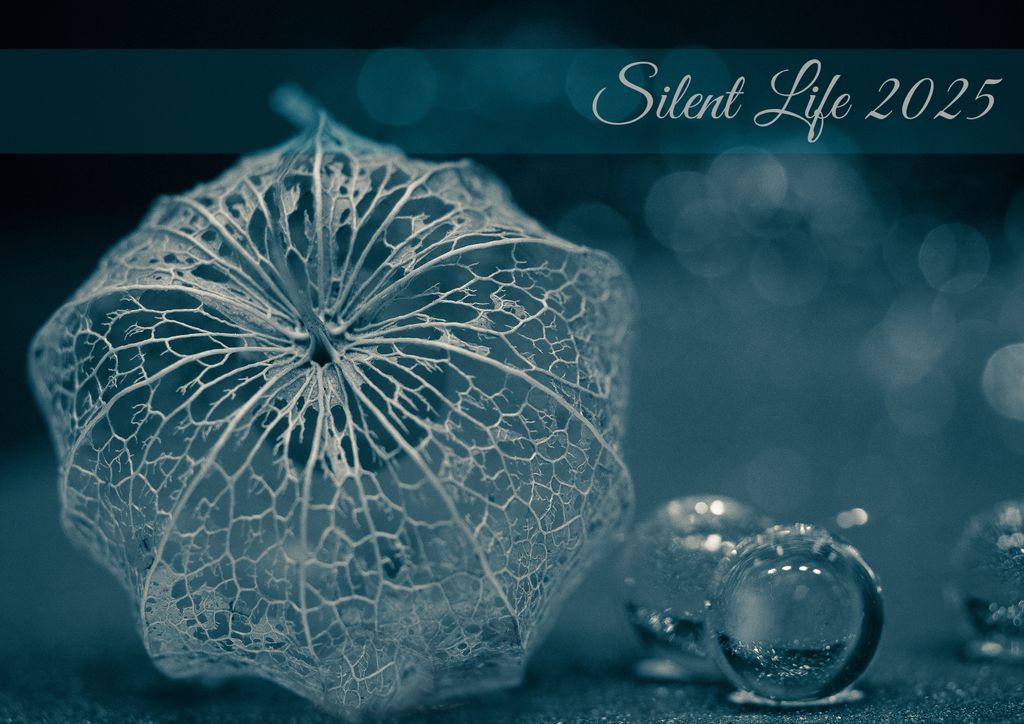 raxxa Premium-Monatskalender Silent Life 2025 DIN-A4 quer