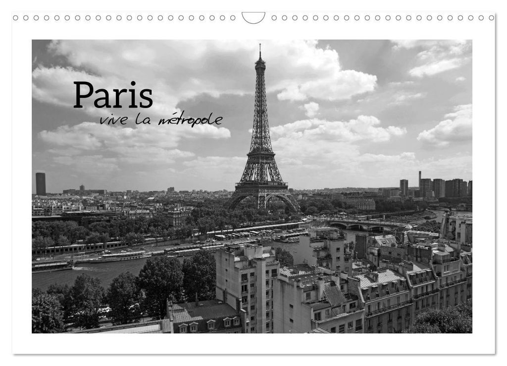 Paris vive la métropole (Wandkalender 2027 DIN A3 quer), CALVENDO Monatskalender