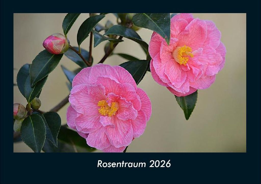 Rosentraum 2026 Fotokalender DIN A4