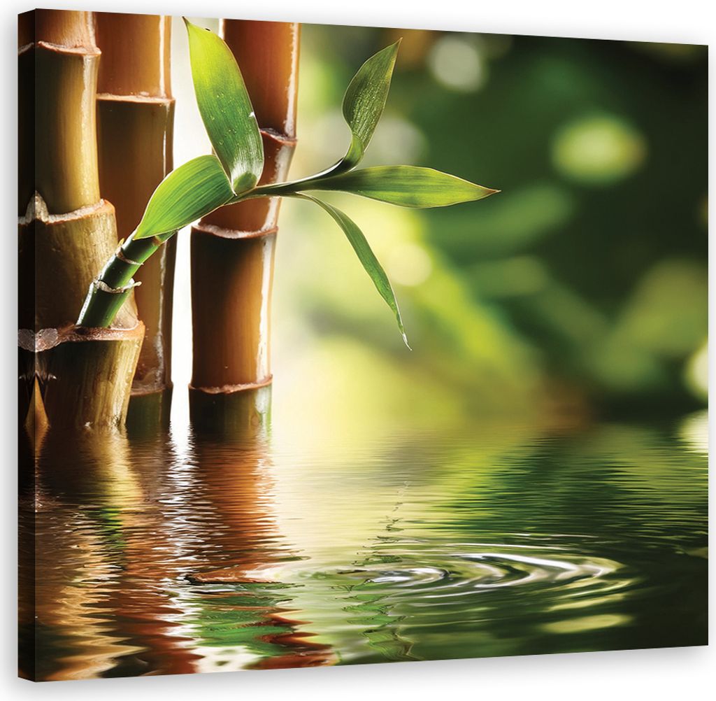 Leinwandbild Bambus Zen 40x40 Feeby Grün bild für die wand bereit zum aufhängen