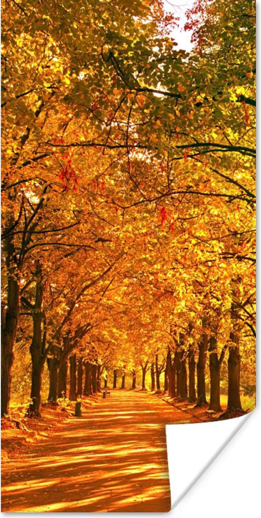 MuchoWow Poster Wald - Herbst - Jahreszeiten - Ländlich 40x80 cm - Dekoration