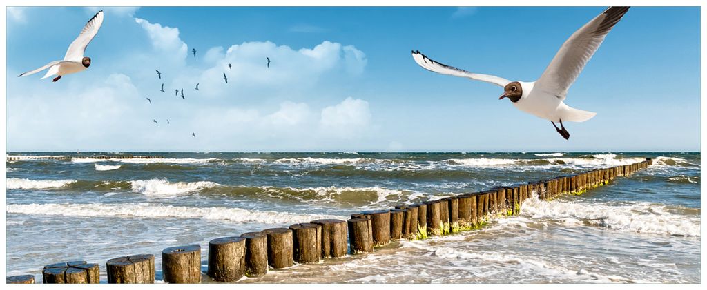 Wallario Wandbild aus Acryl, 125 x 50 cm, freischwebende Optik - Fliegende Möwe am Strand