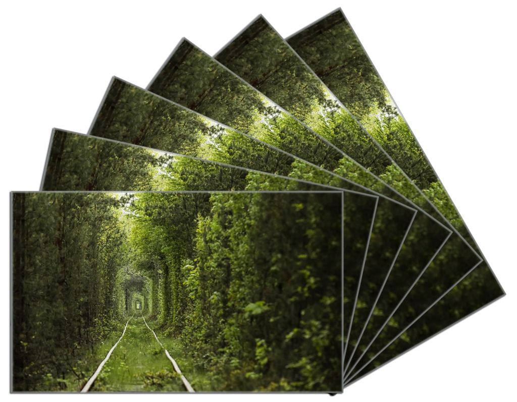 Wallario Frühstücksbrettchen 6er Set aus Glas, je 14 x 23 cm, mit rutschfesten Füßen, Motiv Verwunschener Tunnel aus Bäumen