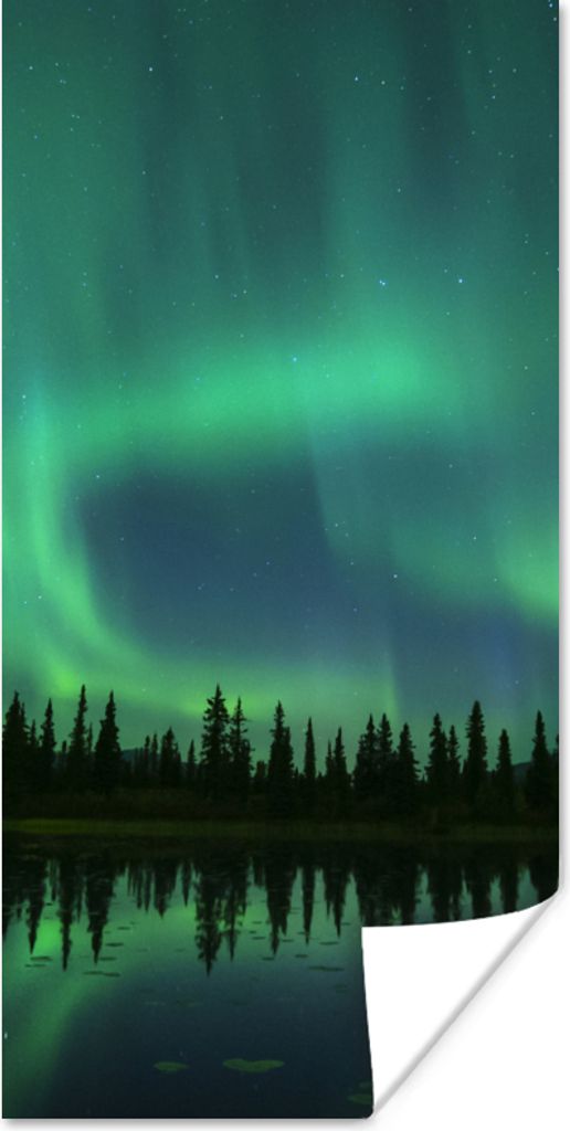 MuchoWow Poster Nordlicht - Bäume - Wasser - Alaska 20x40 cm - Plakat - Foto