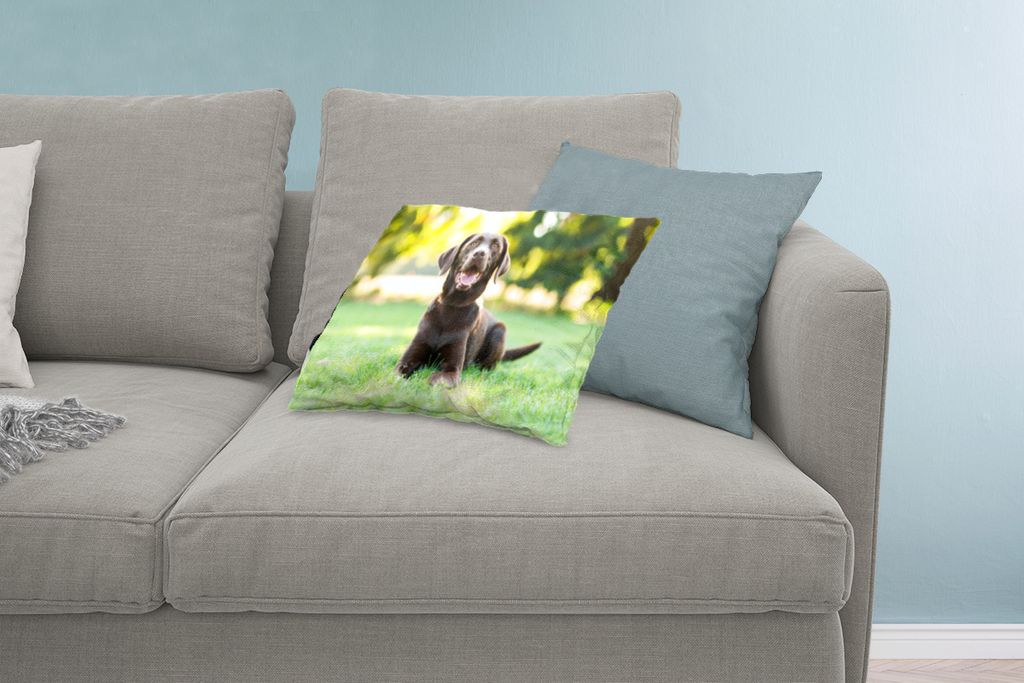 MuchoWow Zierkissen Sofakissen Wohnzimmer Dekokissen 60x40 cm Ein Labrador Retriever liegt im Gras - Kopfkissen - Polster mit Foto