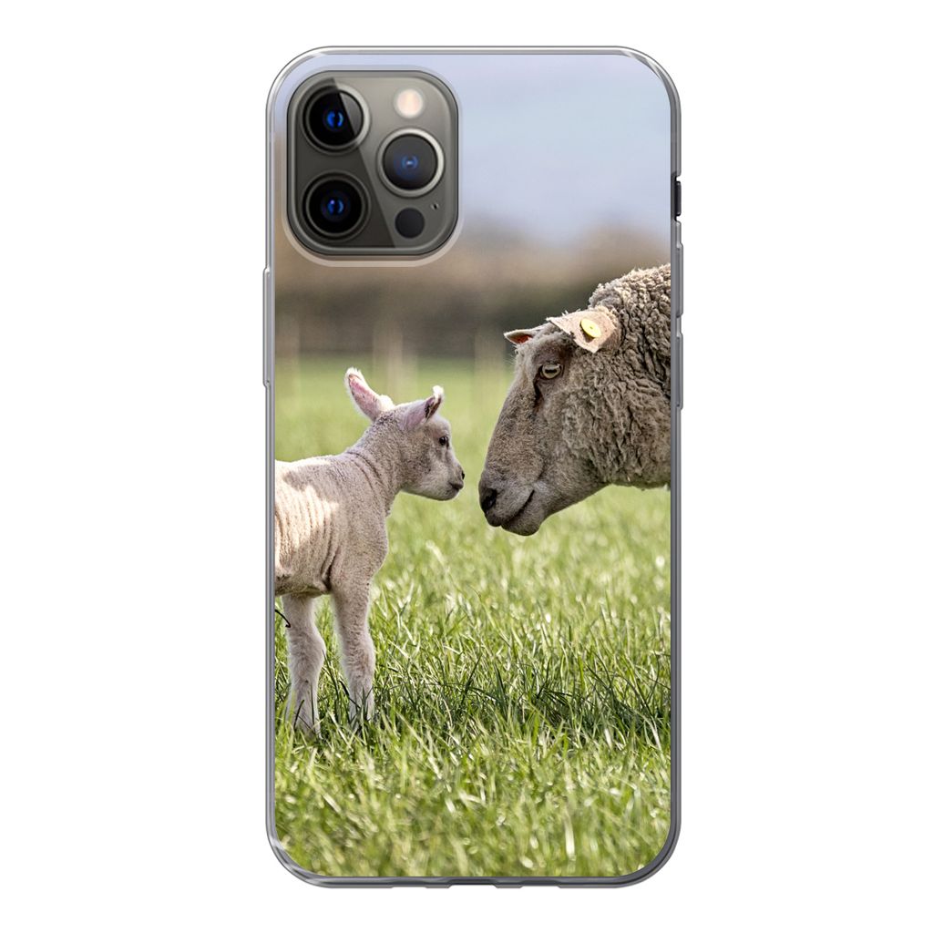 MuchoWow Handyhülle Schutzhülle Hülle für iPhone 13 Pro Schafe - Gras - Lamm Silikon Softcase Handy Hülle - Handy-Tasche