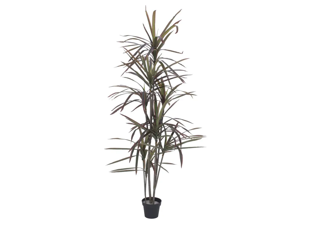 Décoration bureau plante artificielle Dracaena 180cm sans entretien