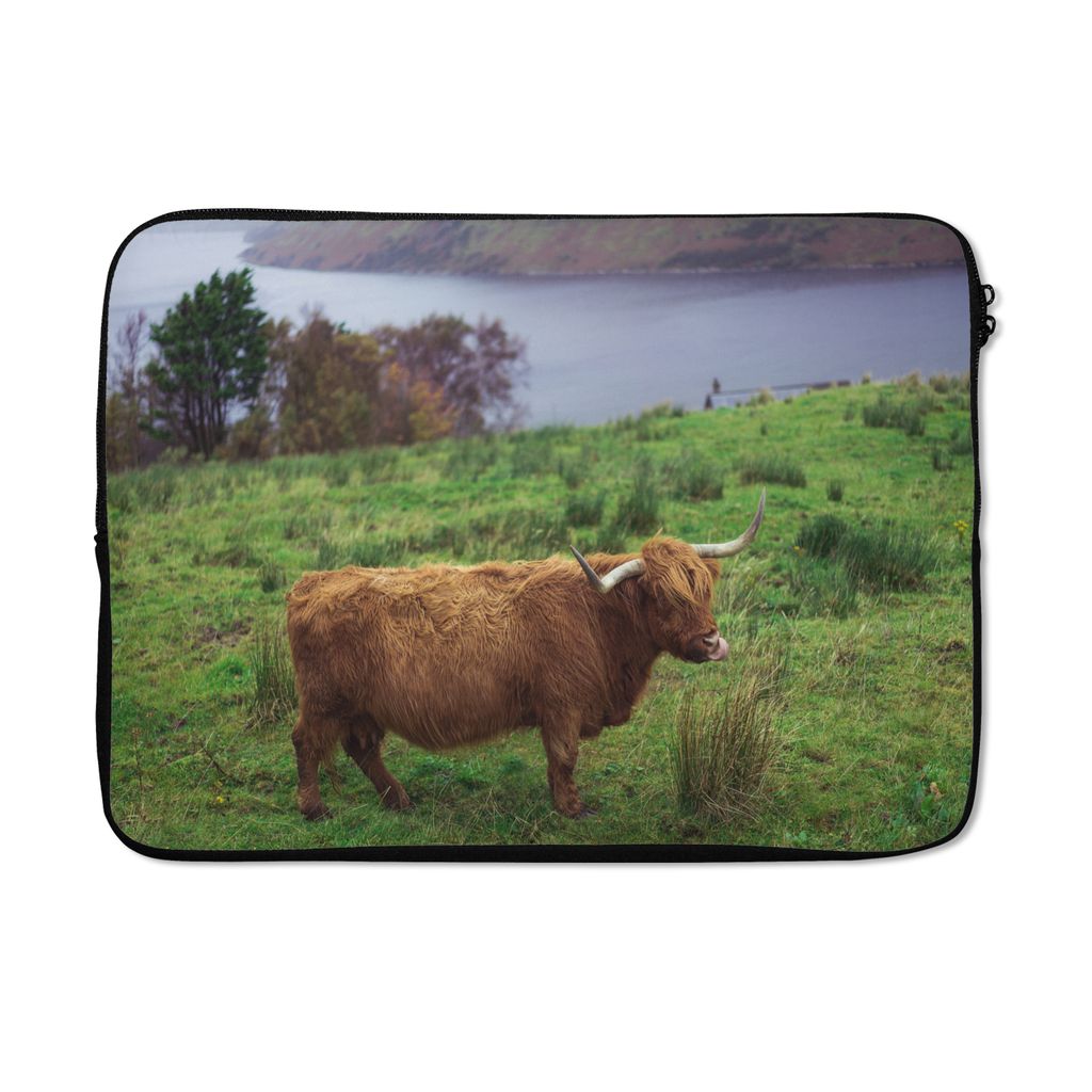 MuchoWow Laptop Hülle 14 ZollSchottische Highlander - Gras - Wasser - Tiere Laptoptasche - Laptoptasche - Stoßsicher - Schutzhaube