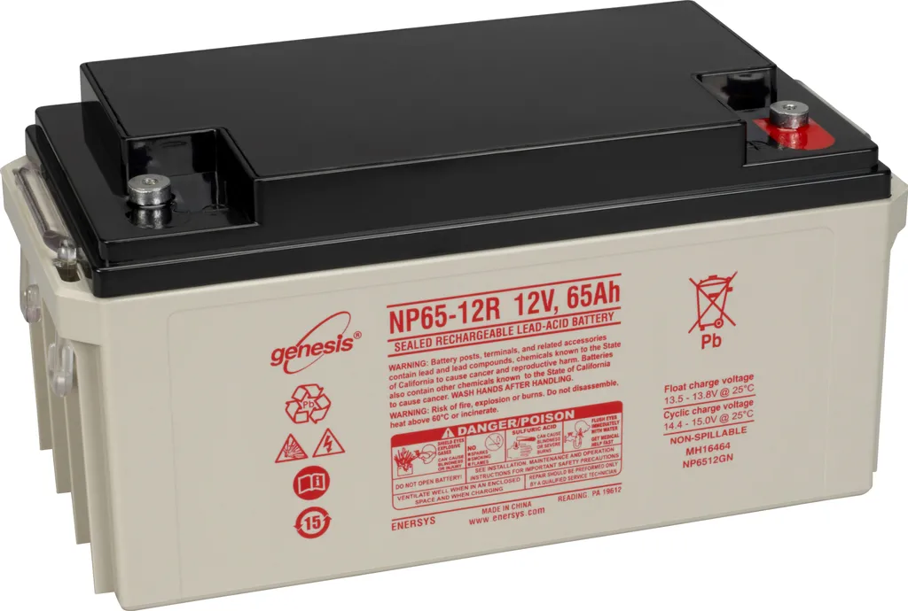 Batterie pour Onduleur et Alarme Genesis NP65-12FR 12V 65Ah M6 AGM