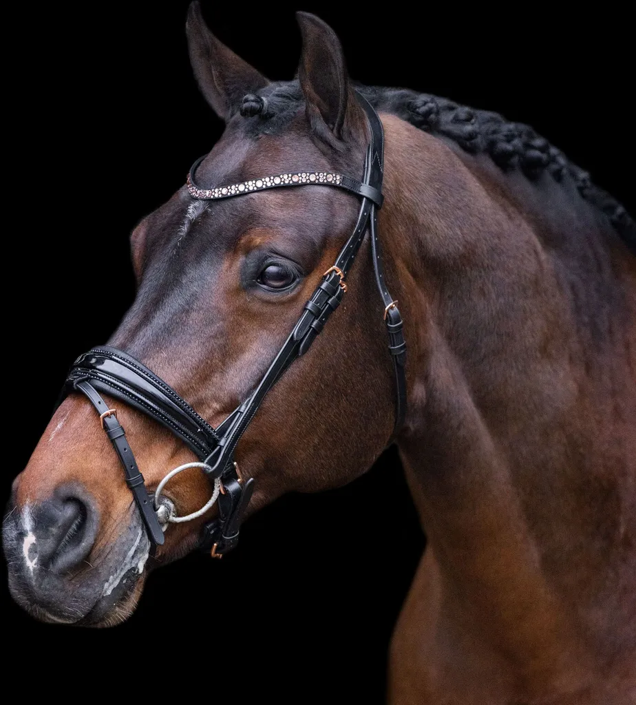 Briglia IROlympia Nera Rosa-Oro Imperial Riding - Offerta HW 2023